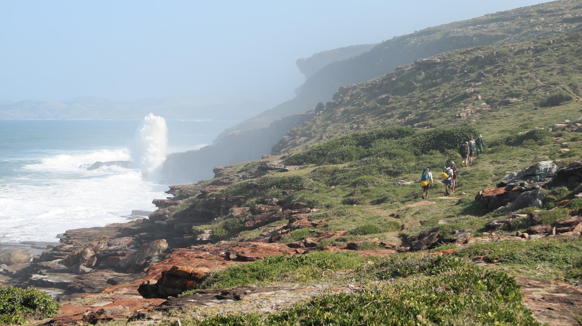 An elephant at Addo Elephant National Park with the semi-arid Eastern Cape landscape