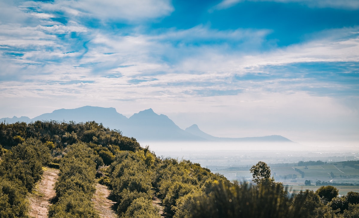 A wine glass being poured at a Cape Winelands estate with vineyards in the background
